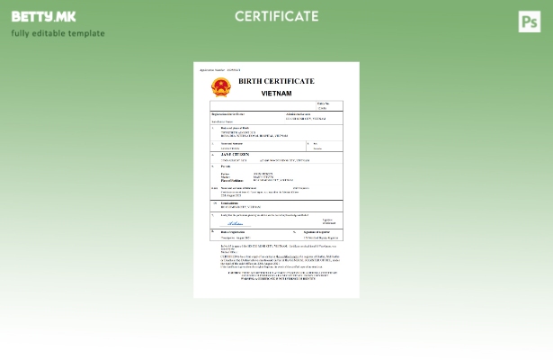 Модерен стил виетнамски извод од матичната книга на родените Шаблон за Word и PD